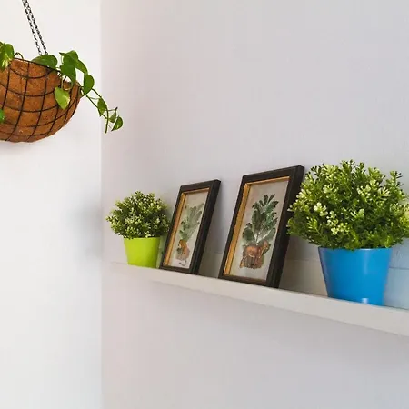 Apartment Palmera *